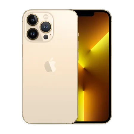 vignette iPhone 13 Pro