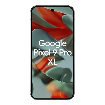 vignette Google Pixel 9 Pro XL