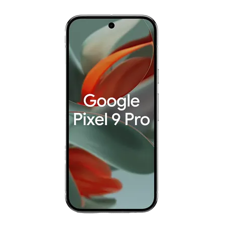 vignette Google Pixel 9 Pro