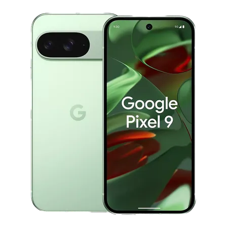 vignette Google Pixel 9