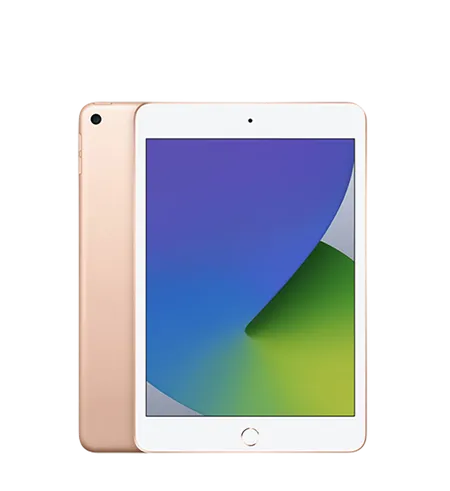 vignette iPad Mini 5