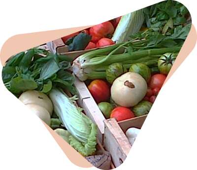 Image for Supermarchés collaboratifs : donner de son temps pour mieux consommer tout en soutenant directement les producteurs locaux